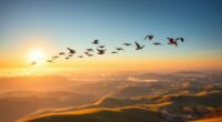 bird migration journey quotes