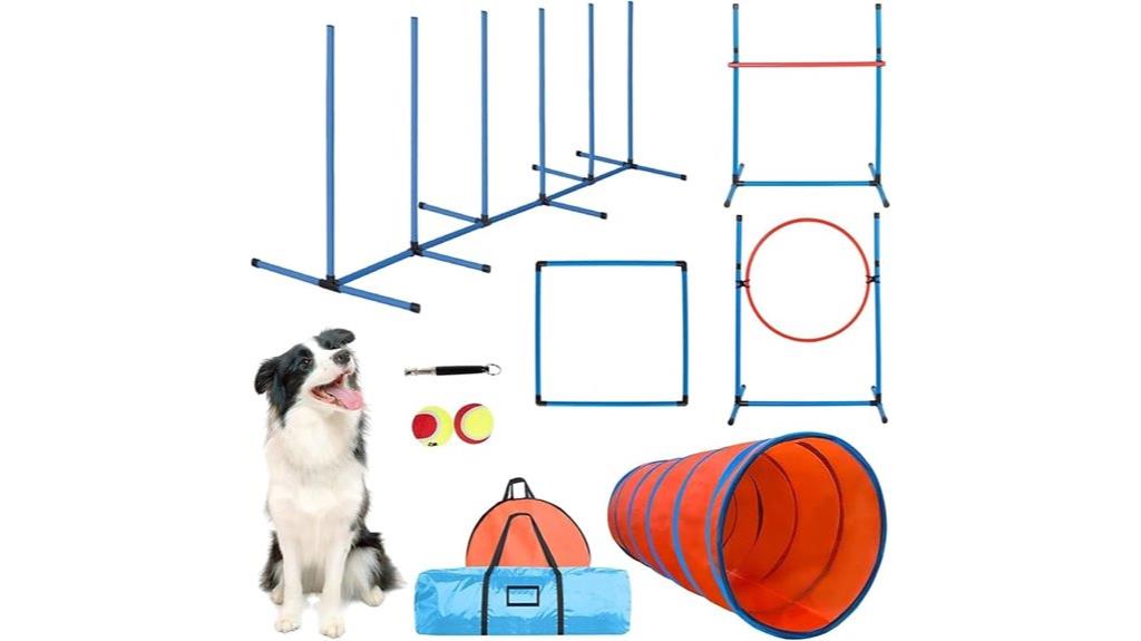 backyard dog obstacle course