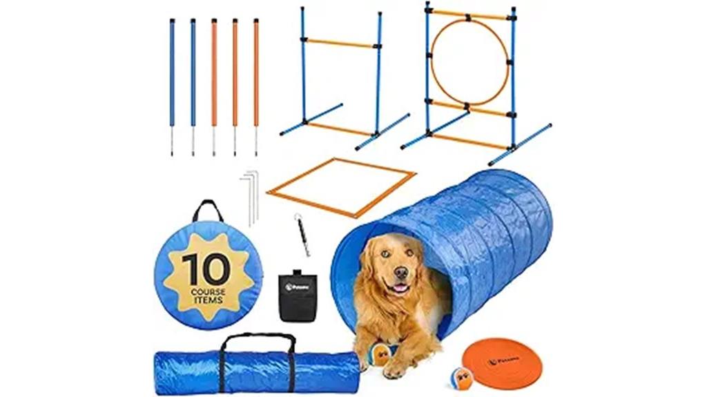 backyard dog obstacle course