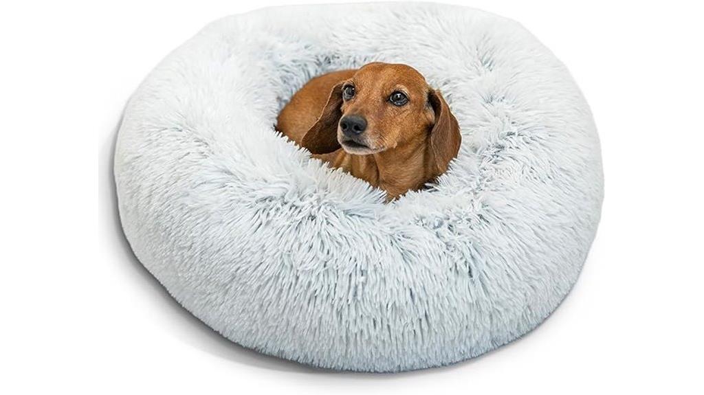 comfortable donut shaped pet bed