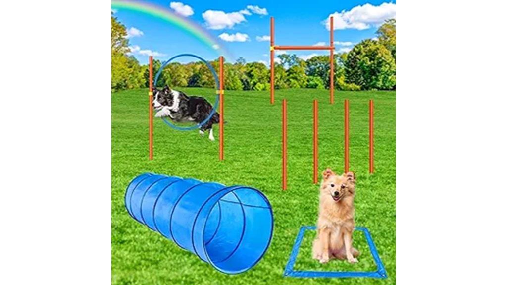 dog agility backyard set