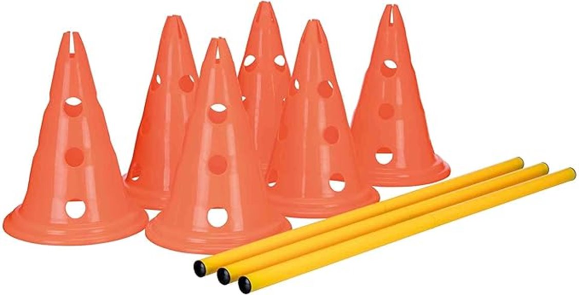 dog agility hurdle cones