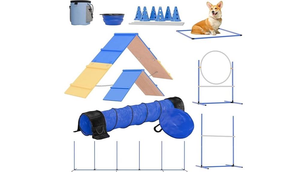 dog agility training set