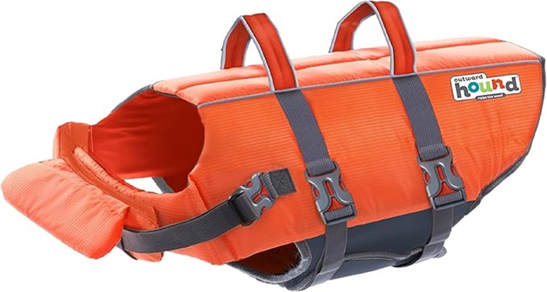 dog life jacket safety