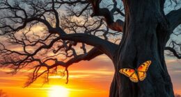 appearances alter core remains