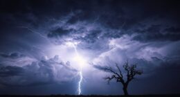 justice power virtue risk