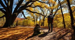 travel with meaningful intent