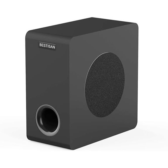 Bestisan 6.5 Home Audio Subwoofer with RCA & AUX