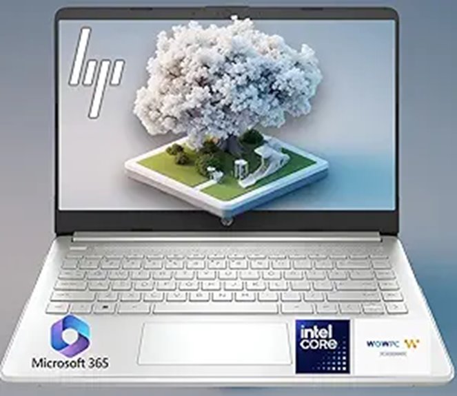 HP 14 Ultrabook Laptop with 32GB RAM