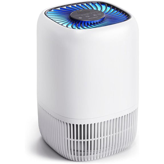 Air Purifier with HEPA Filter for Large Room