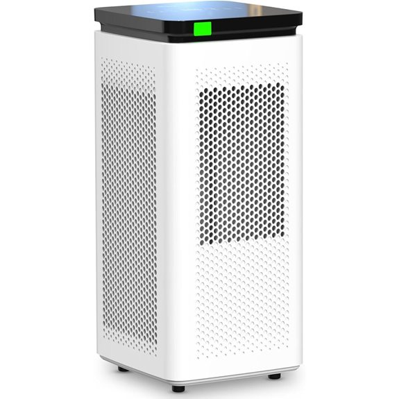 Air Purifier for Large Rooms with HEPA & Carbon