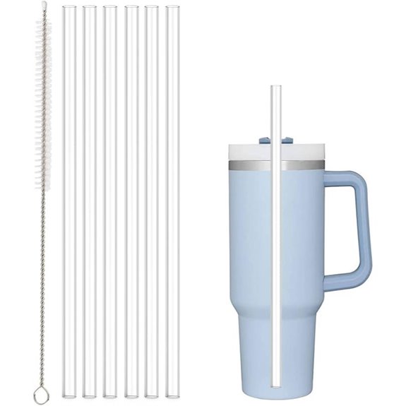 Replacement Clear Straws for Stanley Tumblers (6-Pack)