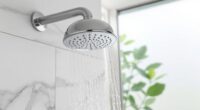 top shower head filters