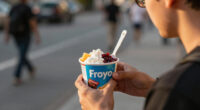 What the current froyo renaissance is really about